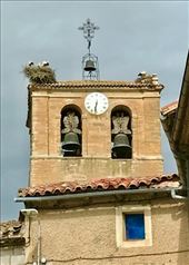 Crane nest: by donna_jeff, Views[174]