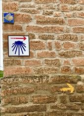 camino signs on brick wall: by donna_jeff, Views[151]