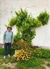 Jeff w grape and flowers: by donna_jeff, Views[142]