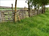 broken fence: by donna_jeff, Views[157]