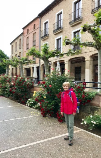 roses castrojeriz DMS