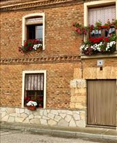 flower boses Itero de la Vega: by donna_jeff, Views[151]