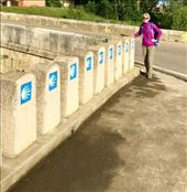 row of Camino signs DMS: by donna_jeff, Views[272]