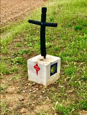Templar cross in field: by donna_jeff, Views[210]
