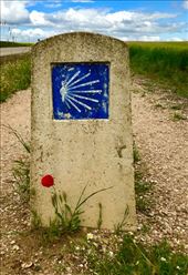 Camino monument w one poppy Villalcazar de Sirga: by donna_jeff, Views[186]