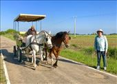 Horse drawn cart JGH: by donna_jeff, Views[218]