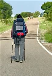 Solar on Wisconsin Pilgrim: by donna_jeff, Views[164]