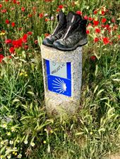 Boots on Camino sign: by donna_jeff, Views[232]