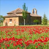Poppies church Bercianos del Real Camino: by donna_jeff, Views[230]
