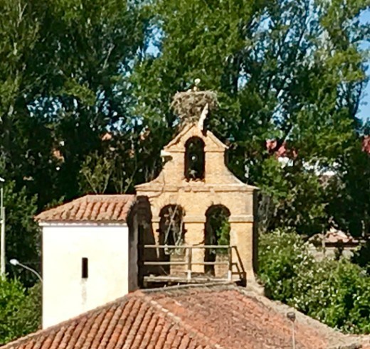 Cranes on church bell towerValdefresno