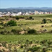 Leon from a distance w cathedral: by donna_jeff, Views[155]