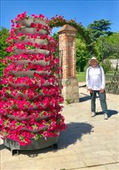 flowers in plaza Astorga: by donna_jeff, Views[162]