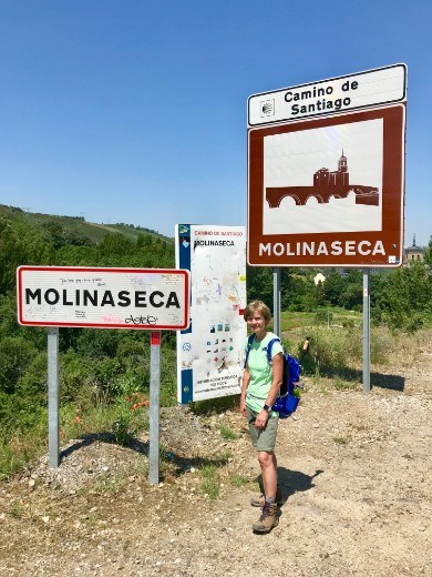 Molinaseca signs DMS