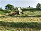 Tractor raking grass hay: by donna_jeff, Views[158]