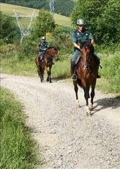 mounted police outsideTriacastela: by donna_jeff, Views[135]