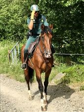 mounted police outsideTriacastela salute: by donna_jeff, Views[164]