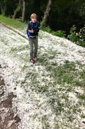 Cottonwood snow DMS: by donna_jeff, Views[157]