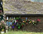 Flower pots on building wall outside Samos: by donna_jeff, Views[178]