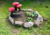 Rock mushrooms: by donna_jeff, Views[131]