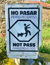 Dog bite sign outside Palas de Rei: by donna_jeff, Views[163]