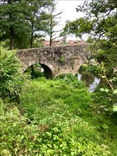 bridge over Rio Furelos DMS: by donna_jeff, Views[163]