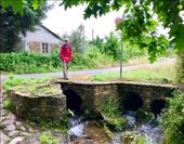 stream O Pino DMS: by donna_jeff, Views[142]