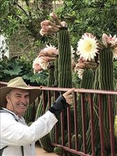cactus in Lorca JGH: by donna_jeff, Views[128]