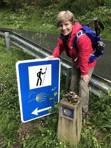 Pyrenees Camino Sign DMS