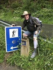 Pyrenees Camino Sign JGH: by donna_jeff, Views[268]
