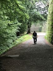 St Jean path JGH: by donna_jeff, Views[271]