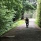 St Jean path JGH: by donna_jeff, Views[241]