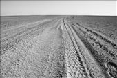 Outside of the refugee camps there is nothing. A very large and empty desert: by dons88, Views[204]