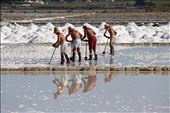 Salt Workers (Marsala, Sicily): by dotlimits, Views[286]
