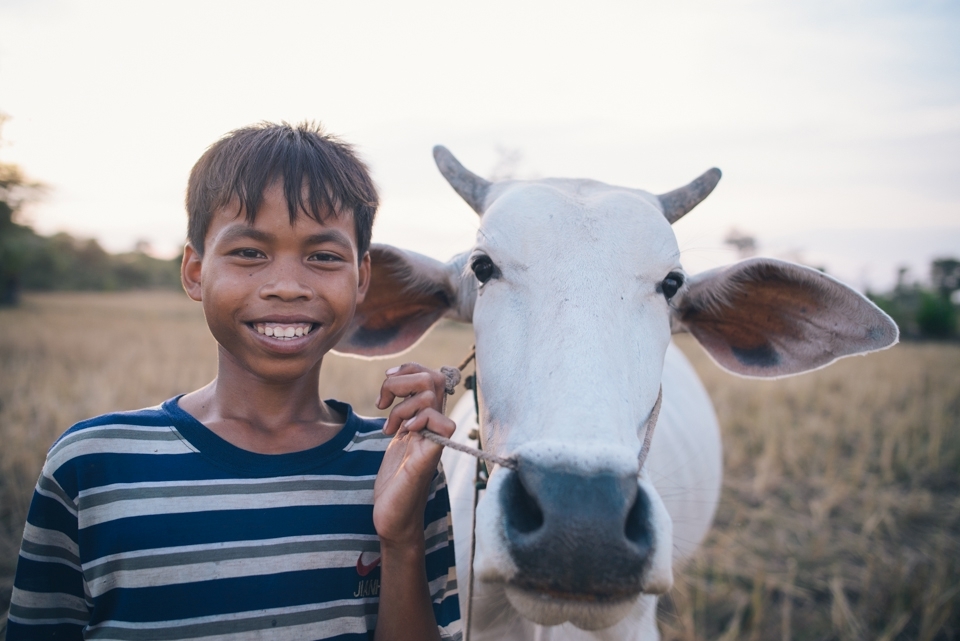 From a young age the children of Kok Thnoght Village help their farming families by working in the fields.