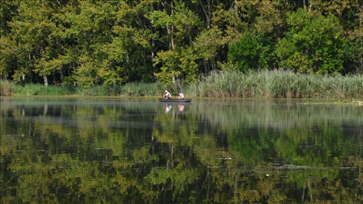The quiet meditation of the local fishermen on the lazy, old Danube.