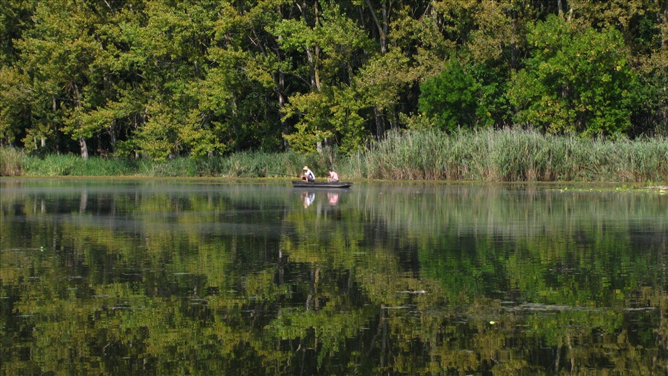 The quiet meditation of the local fishermen on the lazy, old Danube.