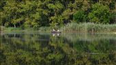 The quiet meditation of the local fishermen on the lazy, old Danube.: by dragana, Views[201]