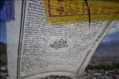 Prayer flags looking over Leh: by dreamcatcheradventures, Views[228]