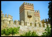 Aphonse X´s Castle and Fortified walls 1221a.d. : by dreamco, Views[329]