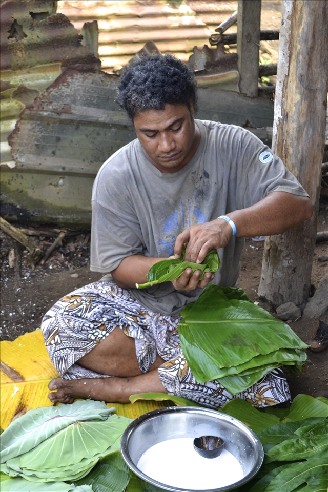 Putting coconut milk into Taro Leaves