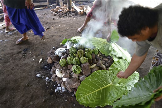 Covering fire (with palusami bundles) with large palm leaves.