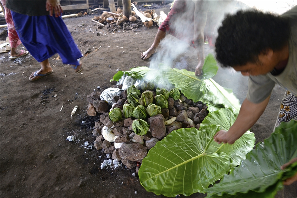 Covering fire (with palusami bundles) with large palm leaves.
