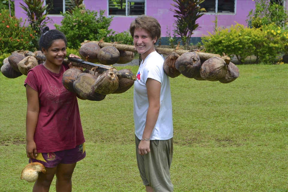 Collecting Coconuts for Coconut Milk