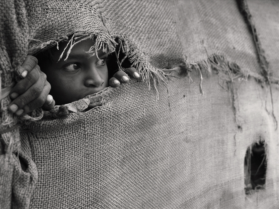 A small hole in the house wall is good for following the life.