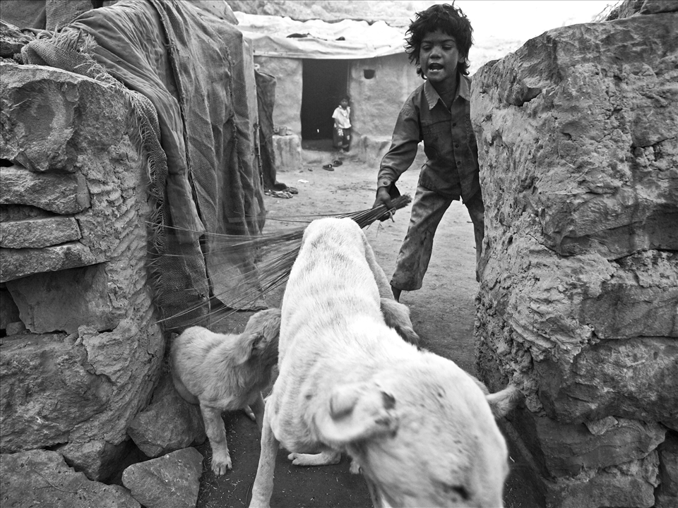 Intruders out! Sweeping the yard and kicking a homeless mother-dog and her puppy