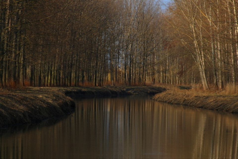 Perfect nature - like a mirror.