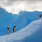 Three Gentoo Penguins enjoy the Sun's warmth on a marvelous wind swept ice flow in the Antarctic Peninsula at Brown Bluff .   by: drewgregory1 Views[642]