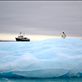 A lone Adelie Penguin stands tall and surveys his surrounds as the MV Ushuaia sits anchored in the background. Paulette Island, Antarctica.  by: drewgregory1 Views[385]