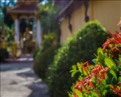 Sisaket Buddha : by drewsweet, Views[212]
