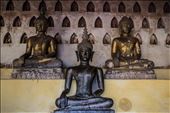 Buddhas : by drewsweet, Views[223]